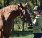 Poulain Pur Sang Lusitanien