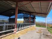 Schapen exploitatie Koop Dordogne