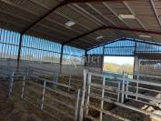 Schapen exploitatie Koop Dordogne