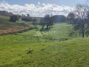 Schapen exploitatie Koop Dordogne