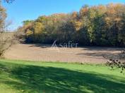 Schapen exploitatie Koop Dordogne