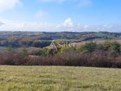 Schapen exploitatie Koop Dordogne
