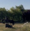  JUMENT PP PS DE 13 ANS 3ke