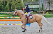 &Agrave; VENDRE TR&Egrave;S JOLI PALOMINO CSO/DRESSAGE