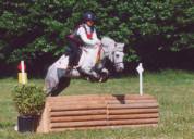 Fury des Mauvis - Dartmoor 1993 por SHILSTONE ROCKS AVALANCHE (GBR)