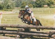 Gedeon des Mauvis - New Forest 1994 por MAYTREE SULTAN (GBR)
