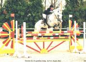Iwan de Villate - PFS Poni Fran&ccedil;&eacute;s de Silla 1996 por VVHISKY VIF ARGENT