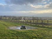 Bos exploitatie Koop Orne