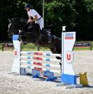 Super hongre 5 ans -cl&eacute; en main , facile