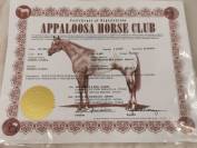 Pouliche appaloosa Plein papier 