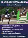 Pony classe B salto / dressage 