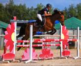 Jument selle fran&ccedil;ais 8 ans 