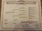 2 chevaux Quarter et Paint horse 