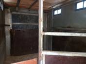 Camion trasporto cavalli