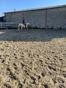 Cheval espagnol - CDE - 15 ans - Loisirs