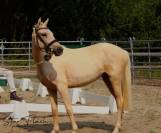 Nahitis de Marli&egrave;re