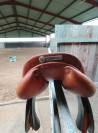 Selle obstacle butet 17,5