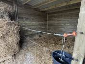 Boxe prairie piste / libre stabulation jodoigne a louer