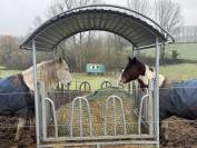 Boxe prairie piste / libre stabulation jodoigne a louer