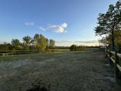 Boxe prairie piste / libre stabulation jodoigne a louer