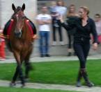 &Eacute;quitation Baliros, l'&eacute;quitation &agrave; domicile.