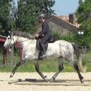 &Eacute;quitation Baliros, l'&eacute;quitation &agrave; domicile.