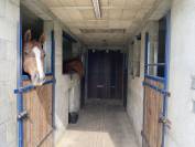 Belle propri&eacute;t&eacute; avec boxs pour 4 chevaux 