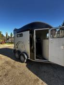 Van Cheval libert&eacute; gold III neuf 