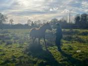 Pension des Ternes - Nord-est de la Creuse