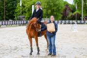 Castrone PFS Pony Francese da Sella In vendita 2015 Baio