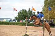 Venta de pony D de Salto
