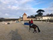 &eacute;curie de Saint Hubert CSO &eacute;curie de propri&eacute;taire 