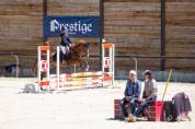 Poney D gagnant P &eacute;lite (1m)