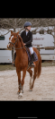 Poney D gagnant P &eacute;lite (1m)