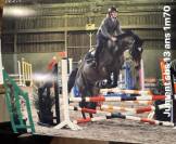 Jument pp sbs dressage obstacle 2012 