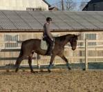 Jument pp sbs dressage obstacle 2012 