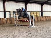 Jument pp sbs dressage obstacle 2012 