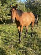 AQPS d&eacute;clar&eacute; ONC