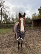 Poulini&egrave;re pleine 