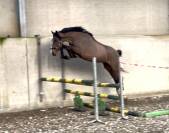  &Eacute;talon de 4 ans 