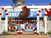 Jument SF 6 ans ernest x armitage