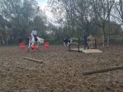 Jument d' origine lusitanienne 11 ans