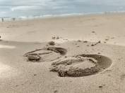 pension chevaux -le bien &ecirc;tre avant tout 