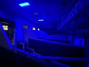 Camion chevaux - Renault   midlum   270  2005 / 420000kms 