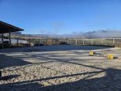 Pension en stabulation libre