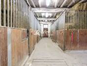 ANCIEN MOULIN RENOVE SECTEUR NATUEL - ST SYMPHORIEN SUR COISE