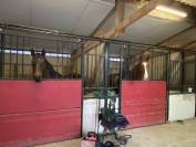 pensions dans &eacute;curie proche de Mont&eacute;limar 