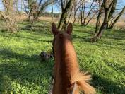 pensions dans &eacute;curie proche de Mont&eacute;limar 