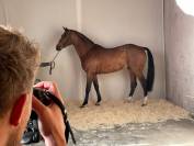 Etalon SF 4 ans par Deutcatsix d'Eglefin