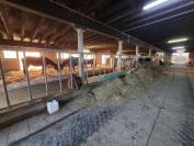 Stabulation libre pour chevaux 